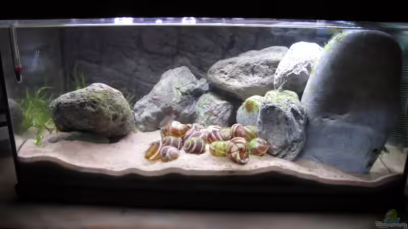 Gesamtansicht von Hans Stadler (1)