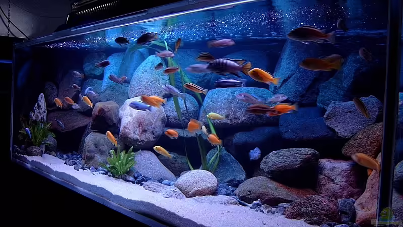 Gesamtansicht von Helgo Jacob (1)