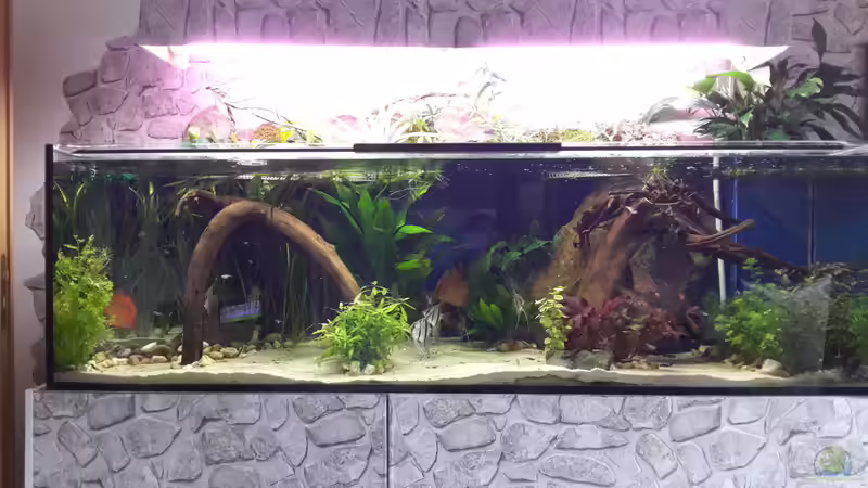 Gesamtansicht von Hightower208 (2)