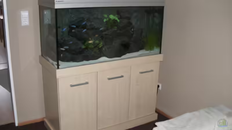 Gesamtansicht von J.Co. (4)