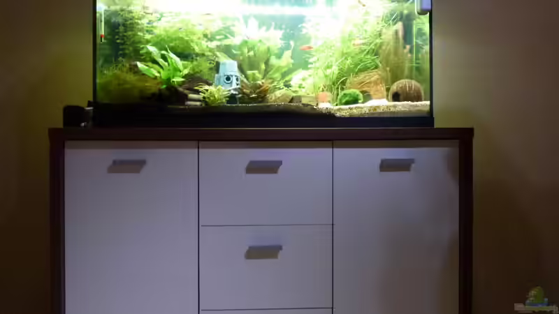 Gesamtansicht von Jessi & Daniel (2)