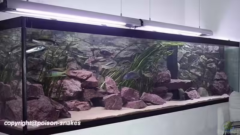 Gesamtansicht von Jürgen Herb (1)