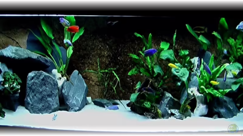 Gesamtansicht von justin (1)