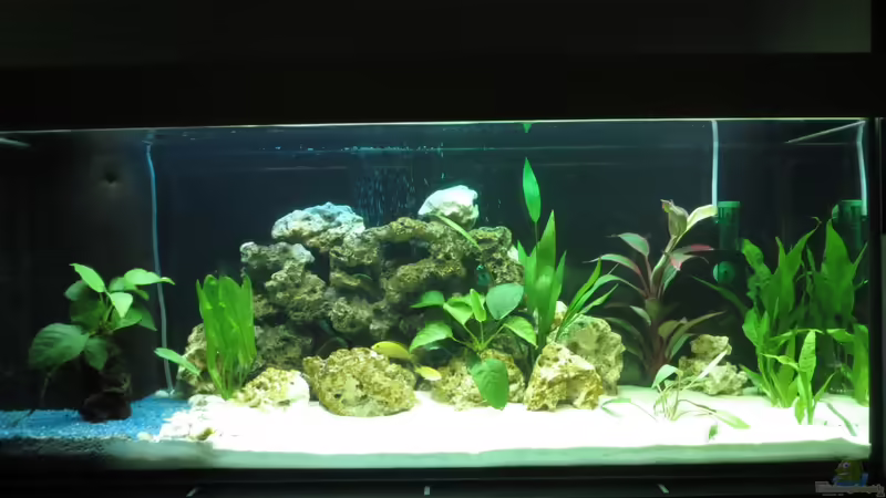 Gesamtansicht von Kaspian (1)