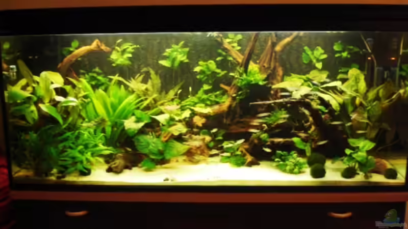 Gesamtansicht von Katja Knoll (1)