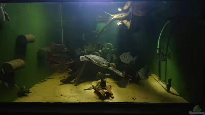 Gesamtansicht von kellerkind (6)