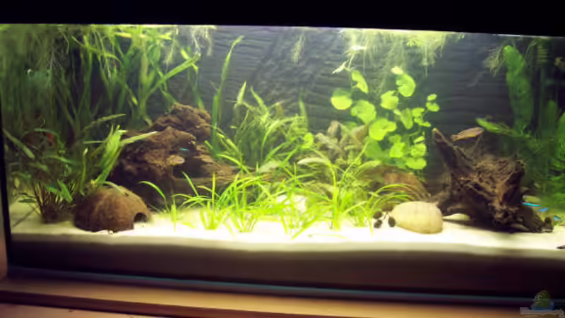 Gesamtansicht von Kirsten Bishay (2)