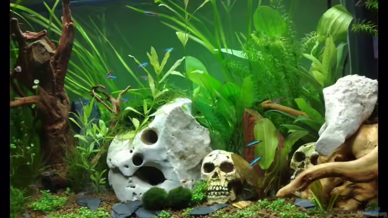 Gesamtansicht von Knypser (1)