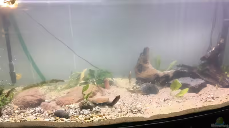 Gesamtansicht von LaTun (1)