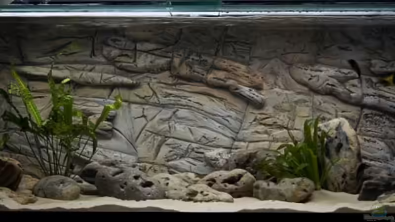 Gesamtansicht von Lemi66 (1)