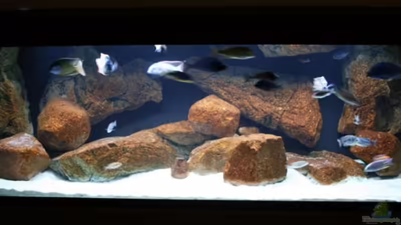 Gesamtansicht von Malte (1)