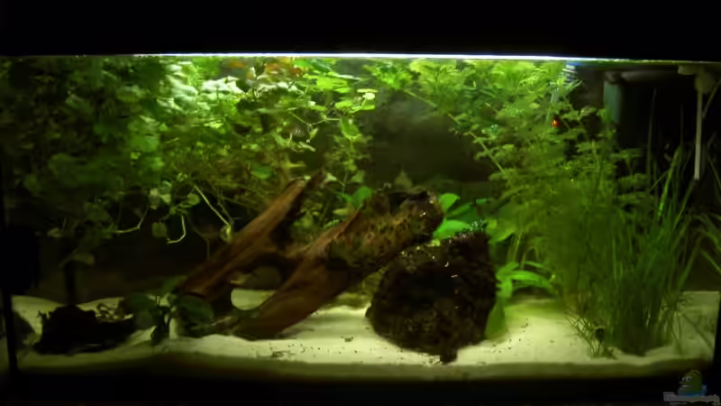 Gesamtansicht von Manuela (1)