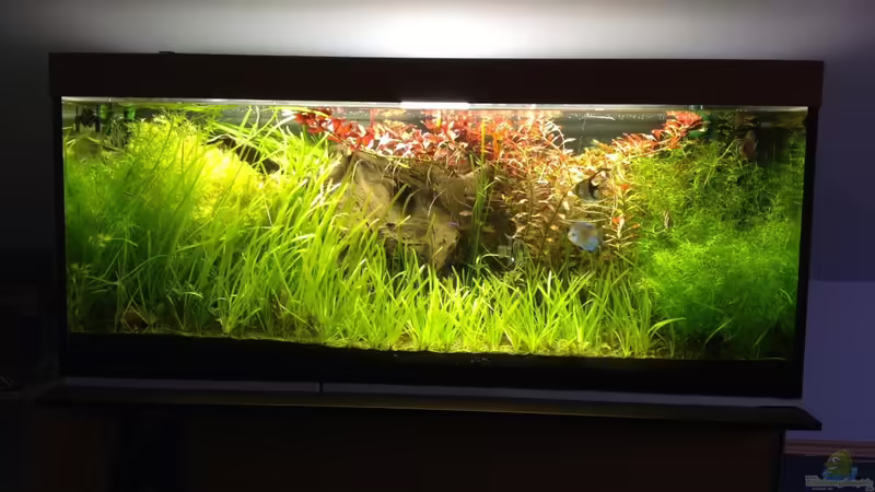 Gesamtansicht von Marc M (1)