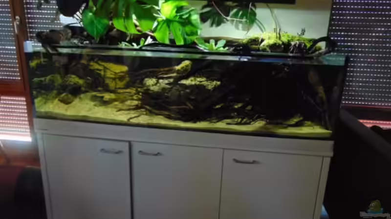 Gesamtansicht von Markaroni (10)