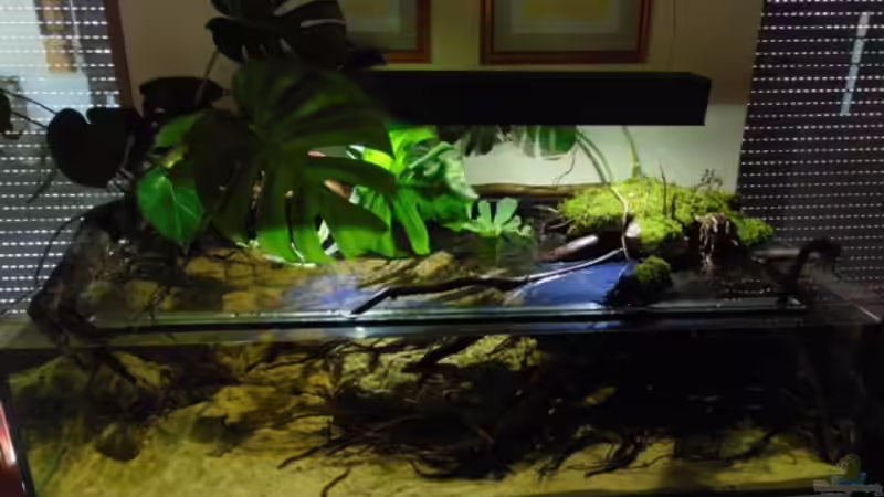 Gesamtansicht von Markaroni (6)