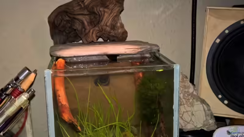 Gesamtansicht von Martin L. (2)