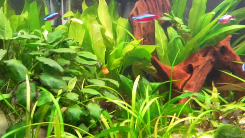 Gesamtansicht von mawi (13)