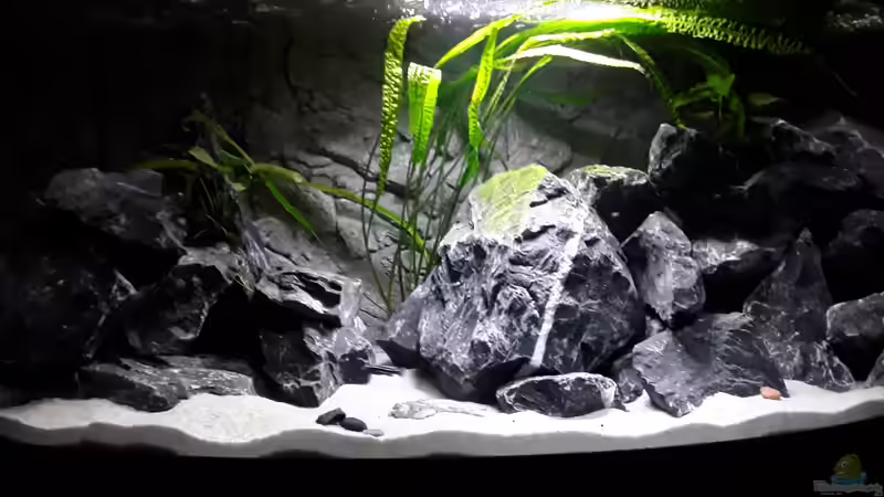 Gesamtansicht von MbunaTowers (7)