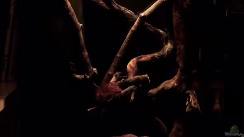 Gesamtansicht von MichaB (2)