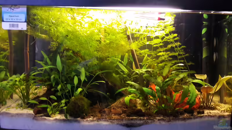 Gesamtansicht von Michael Dreher (1)