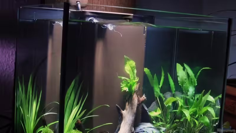 Gesamtansicht von Microsash (3)