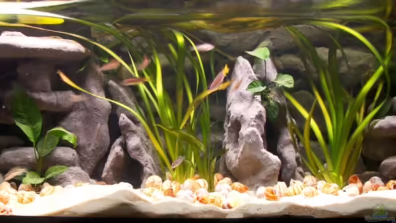 Gesamtansicht von Miriam (1)