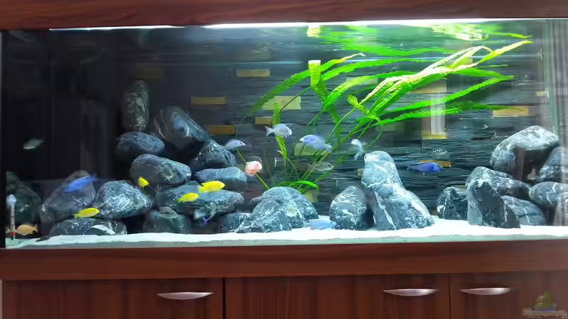 Gesamtansicht von Moda (3)