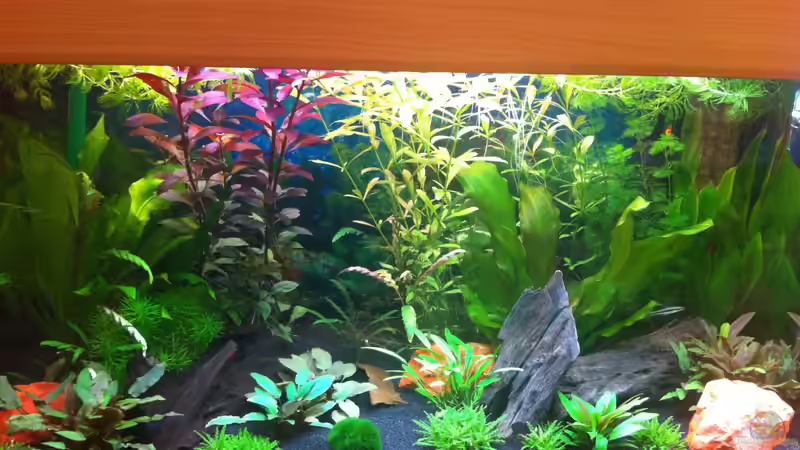 Gesamtansicht von Nastassja&Mario T (2)