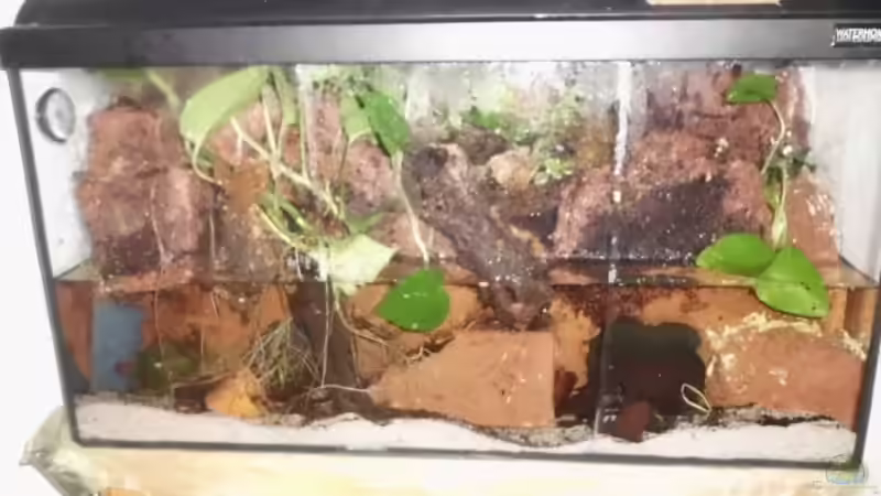 Gesamtansicht von Nils Müller (3)