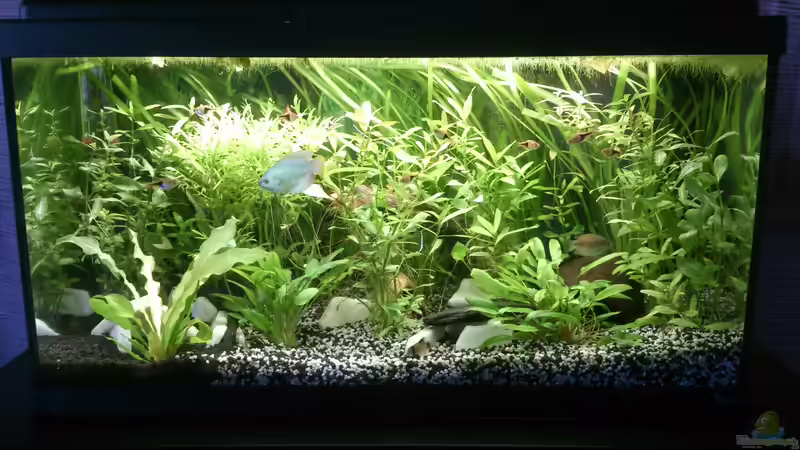 Gesamtansicht von NonTakt (1)