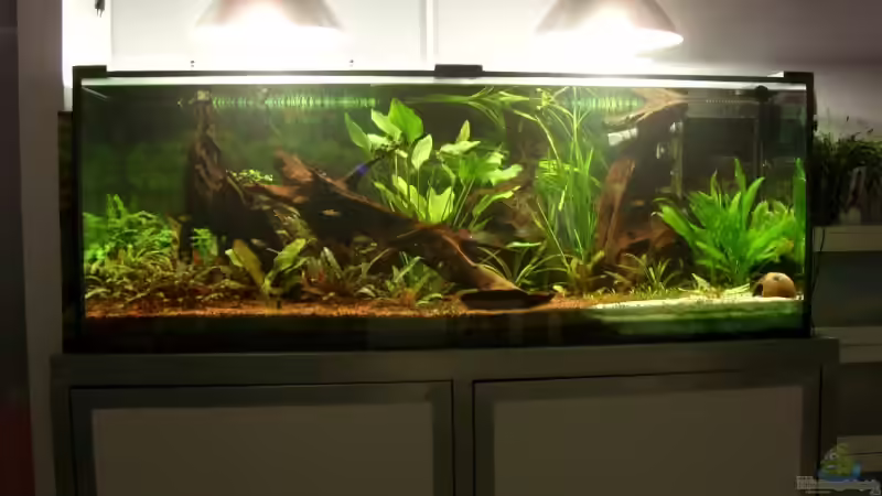 Gesamtansicht von Oliver Boden (1)