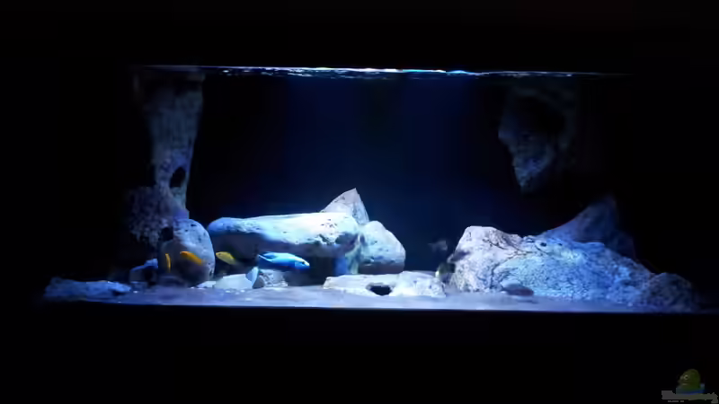 Gesamtansicht von ollil81 (14)