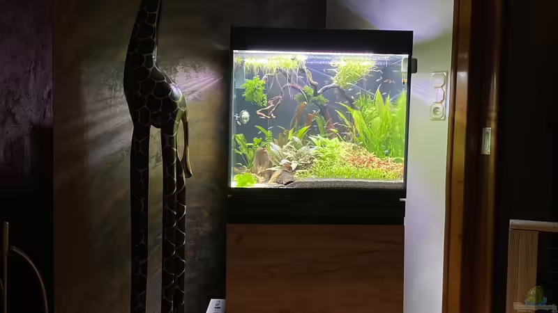 Gesamtansicht von Ottche (17)