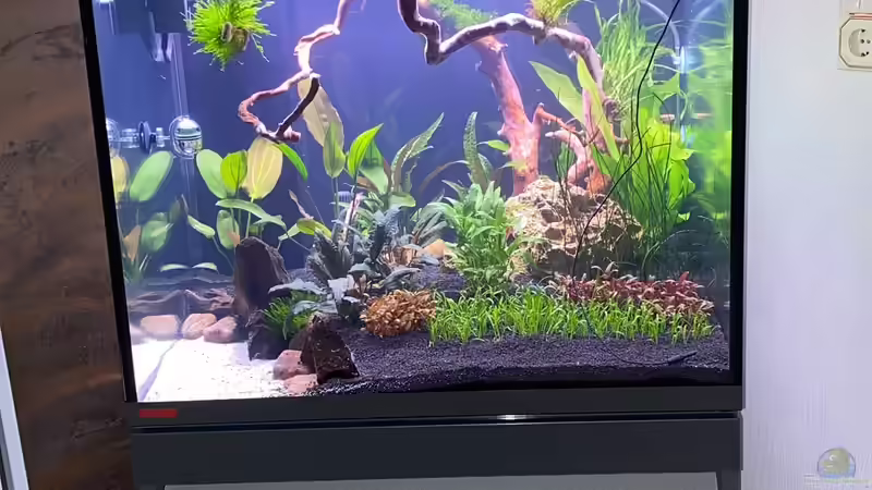 Gesamtansicht von Ottche (41)