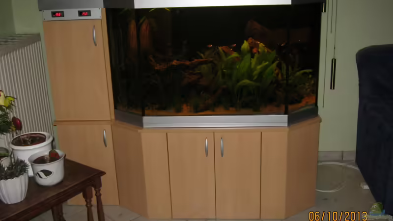 Gesamtansicht von Paul B. (12)