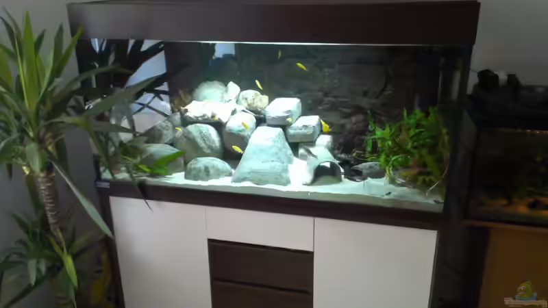 Gesamtansicht von Paul8 (5)