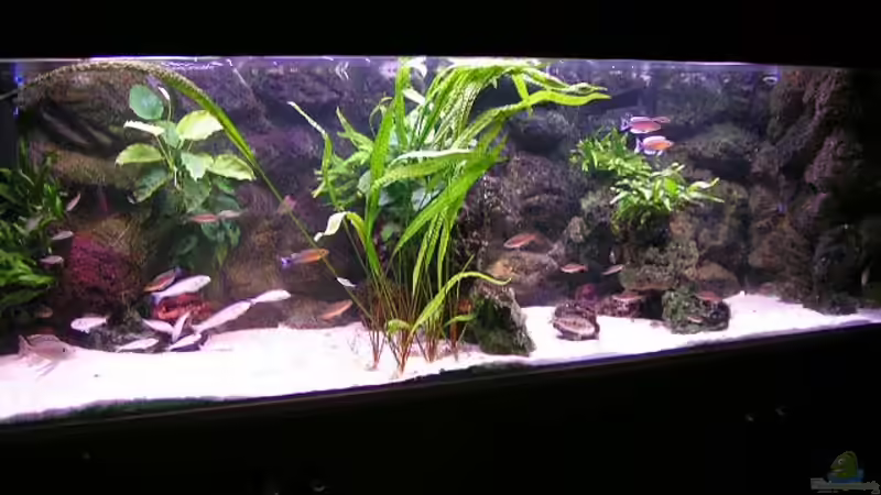 Gesamtansicht von Peter Hübner (1)