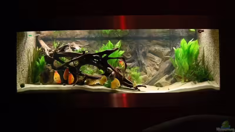 Gesamtansicht von Peter Osebold (1)