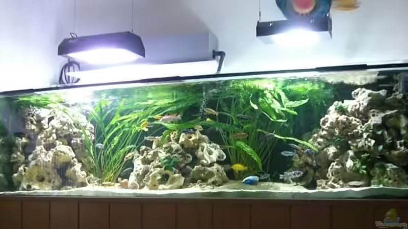 Gesamtansicht von Rainer Klettke (1)