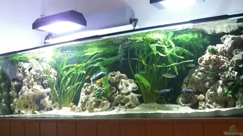 Gesamtansicht von Rainer Klettke (2)