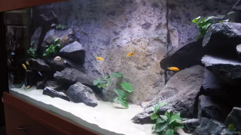 Gesamtansicht von rechts von Klaus Traxler (3)