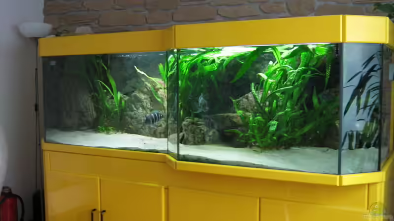 Gesamtansicht von rechts von Michaela Krause (3)