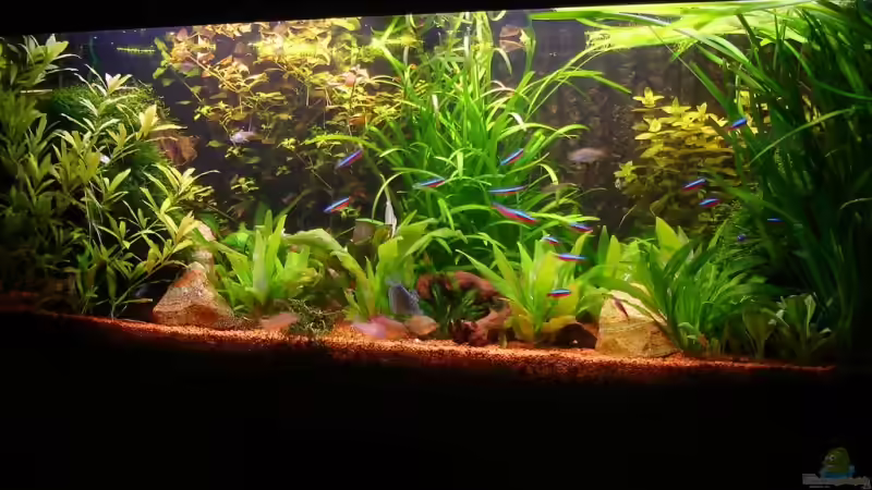 Gesamtansicht von Robert Hötzinger (1)