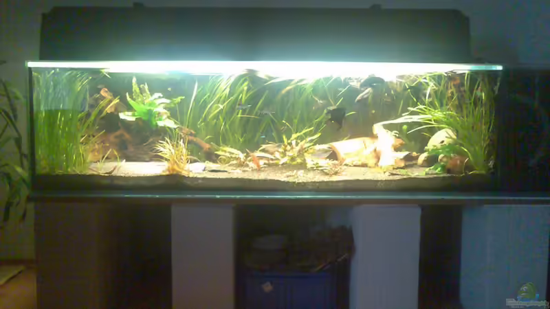 Gesamtansicht von Rouven (1)