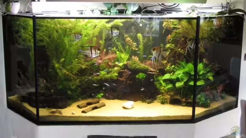 Gesamtansicht von Sabrina Plankensteiner (6)