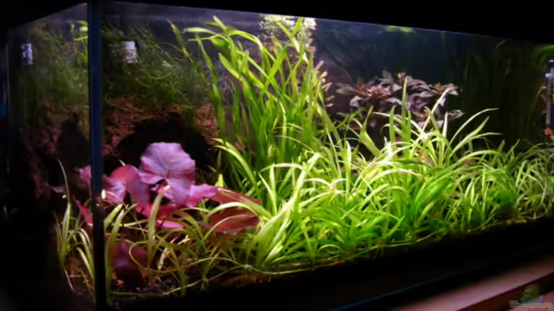 Gesamtansicht von Sabrina Schäfer (1)