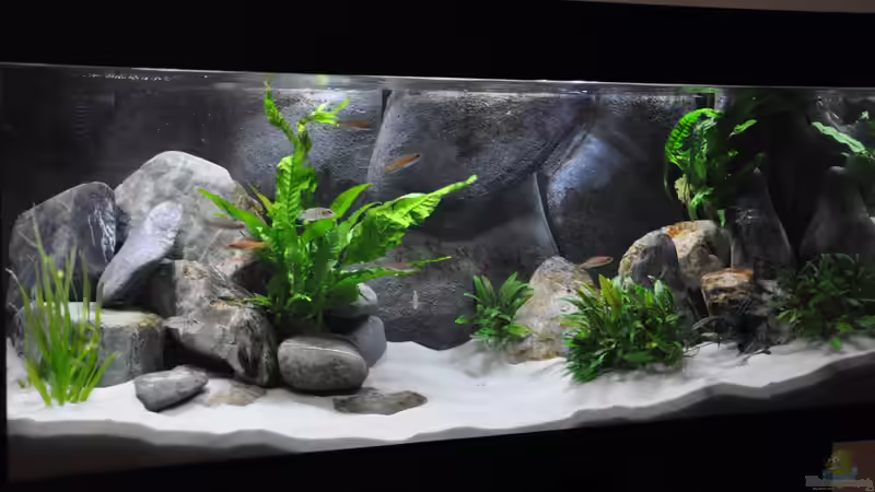 Gesamtansicht von Scada (2)