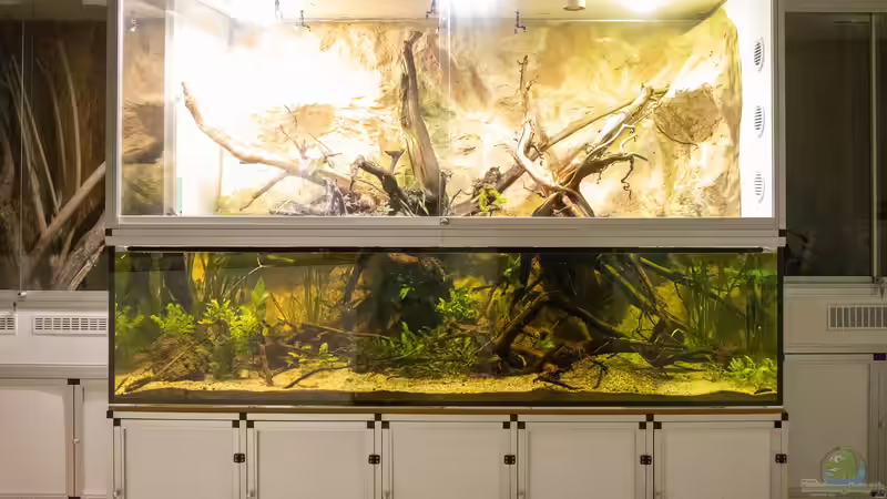 Gesamtansicht von Schlangenschulz (1)