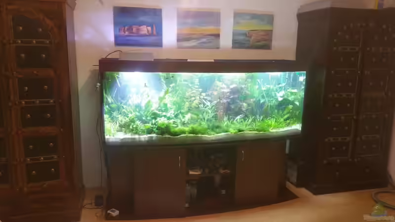 Gesamtansicht von Seaofgreen (2)