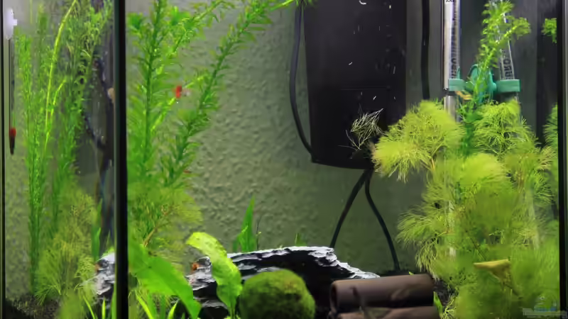 Gesamtansicht von Sebastian Wolff (1)